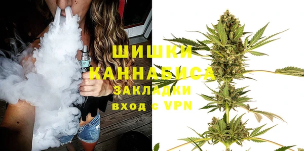 индика Балабаново